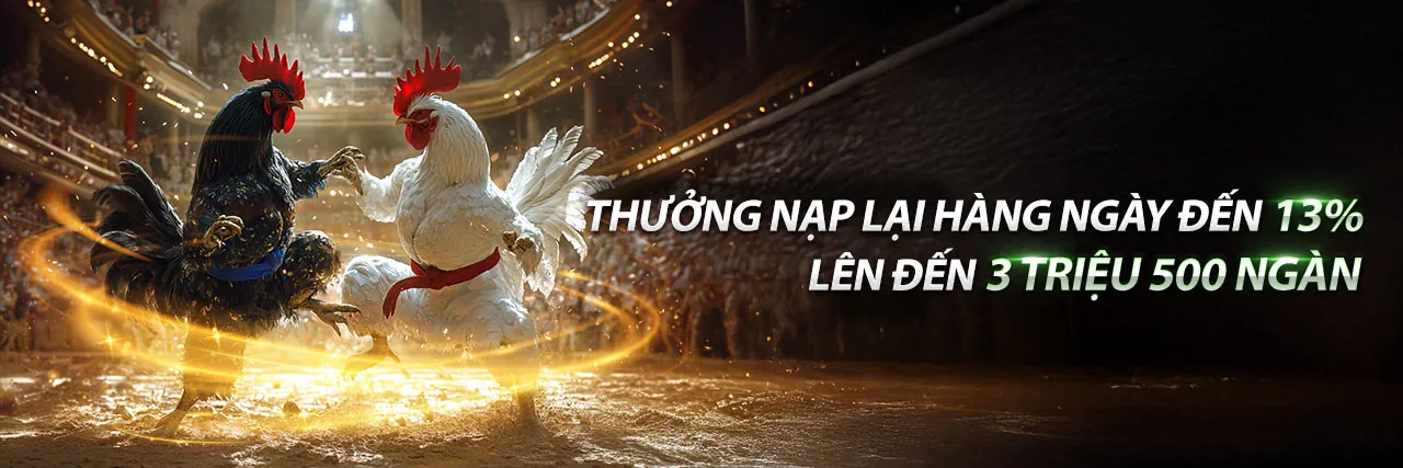 Đá Gà Trực Tiếp Ngày 1 Tháng 4 tại VN6